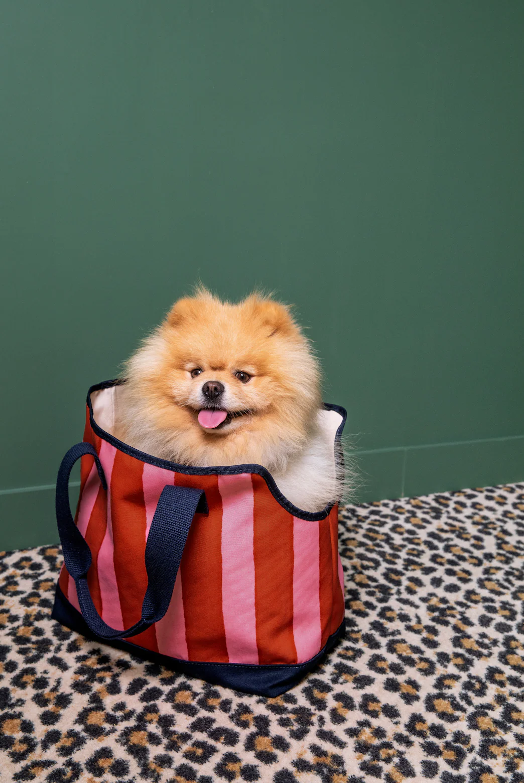 Dog Bag	Red X Lisa Corti - Image 4