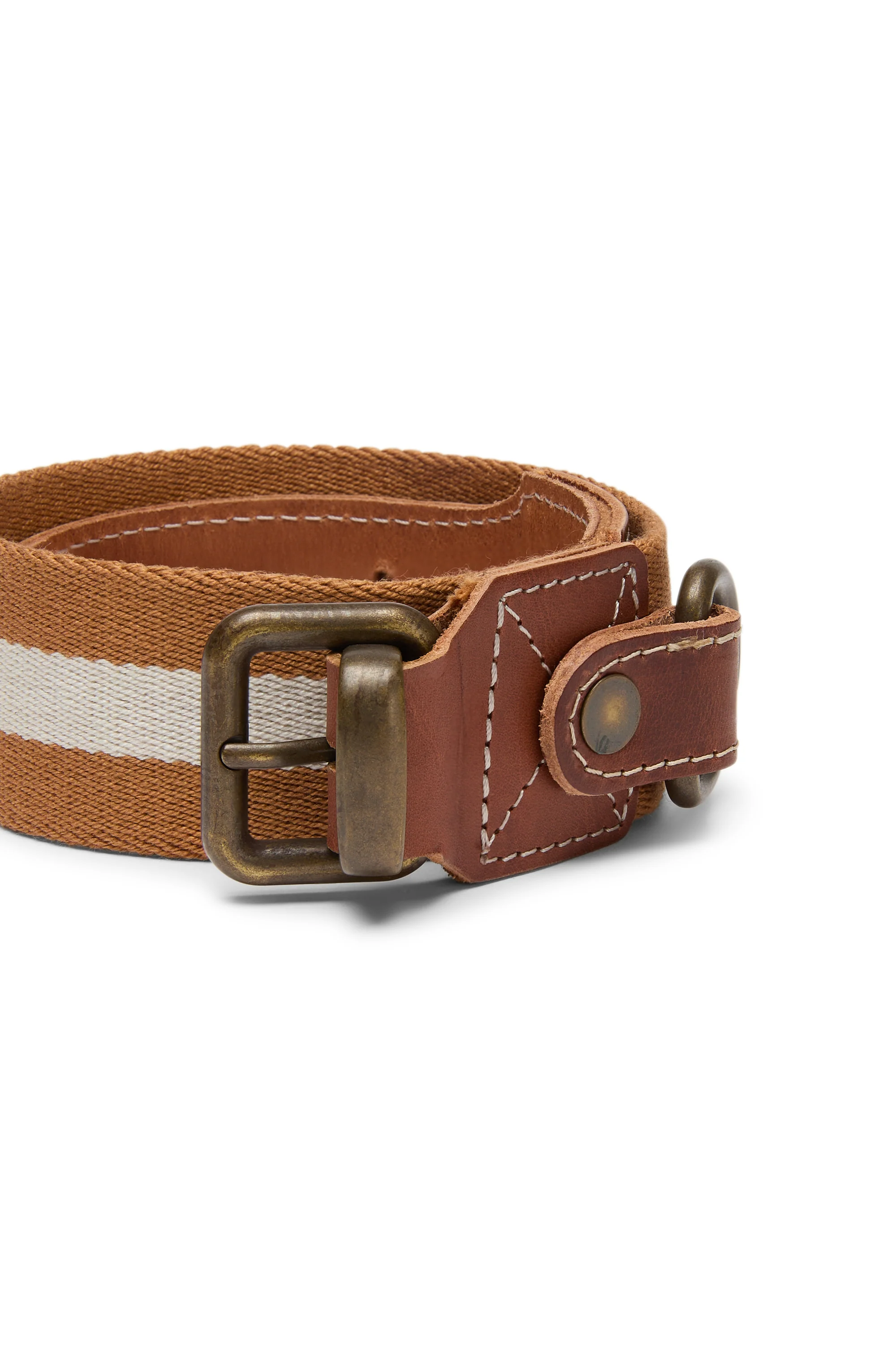 Dog Collar Mustard Medium X Lisa Corti