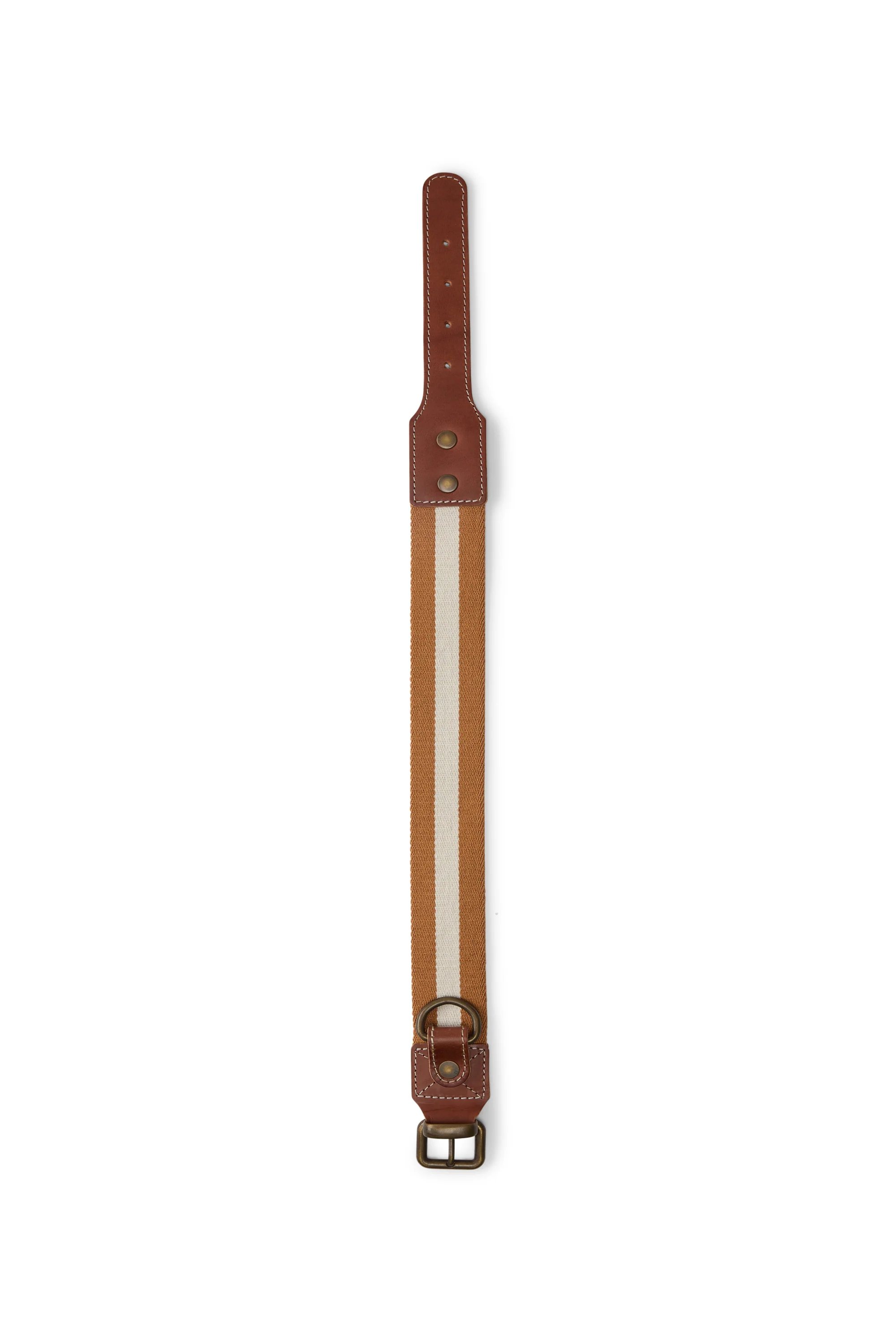 Dog Collar Mustard Medium X Lisa Corti - Image 2