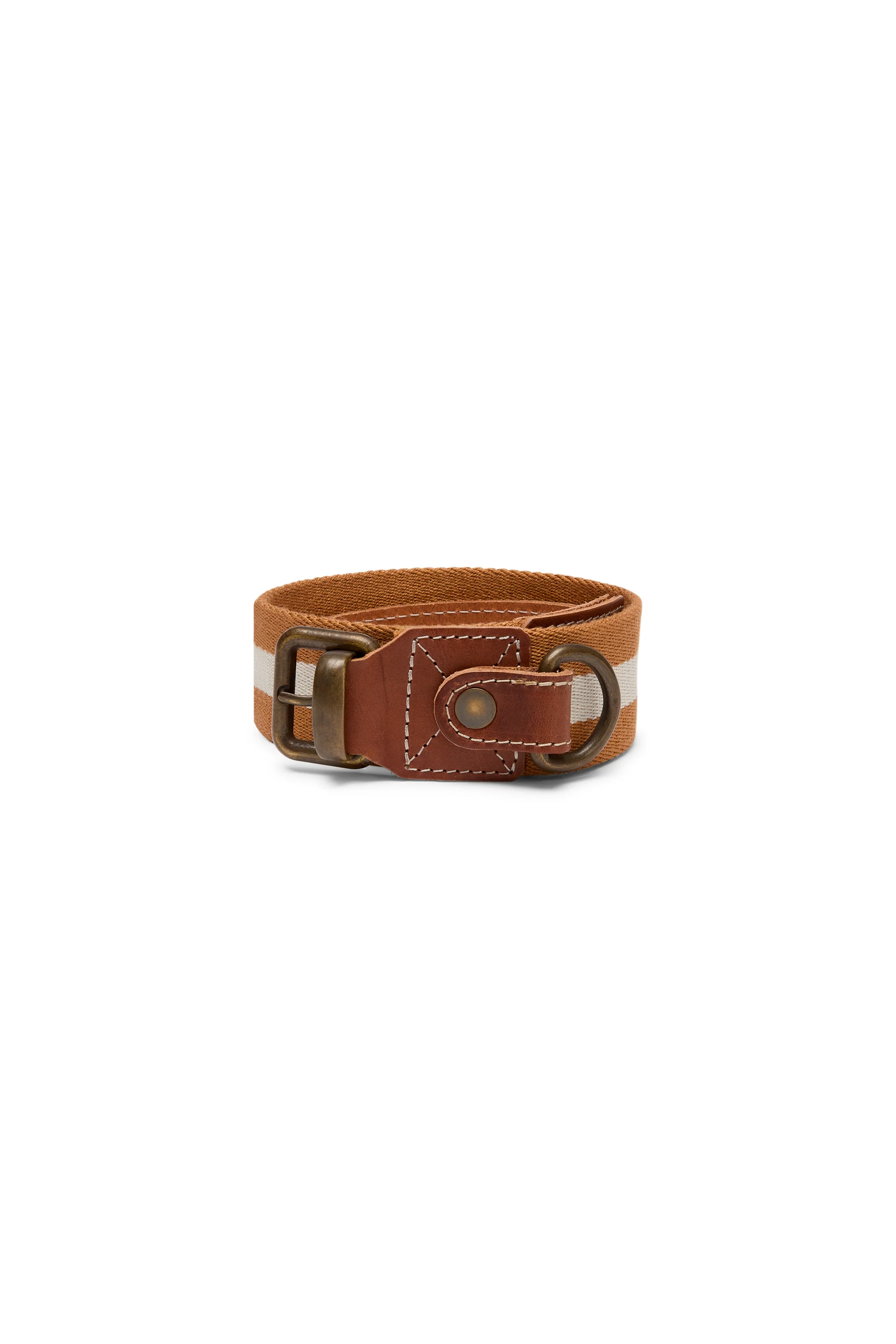 Dog Collar Mustard Medium X Lisa Corti - Image 3