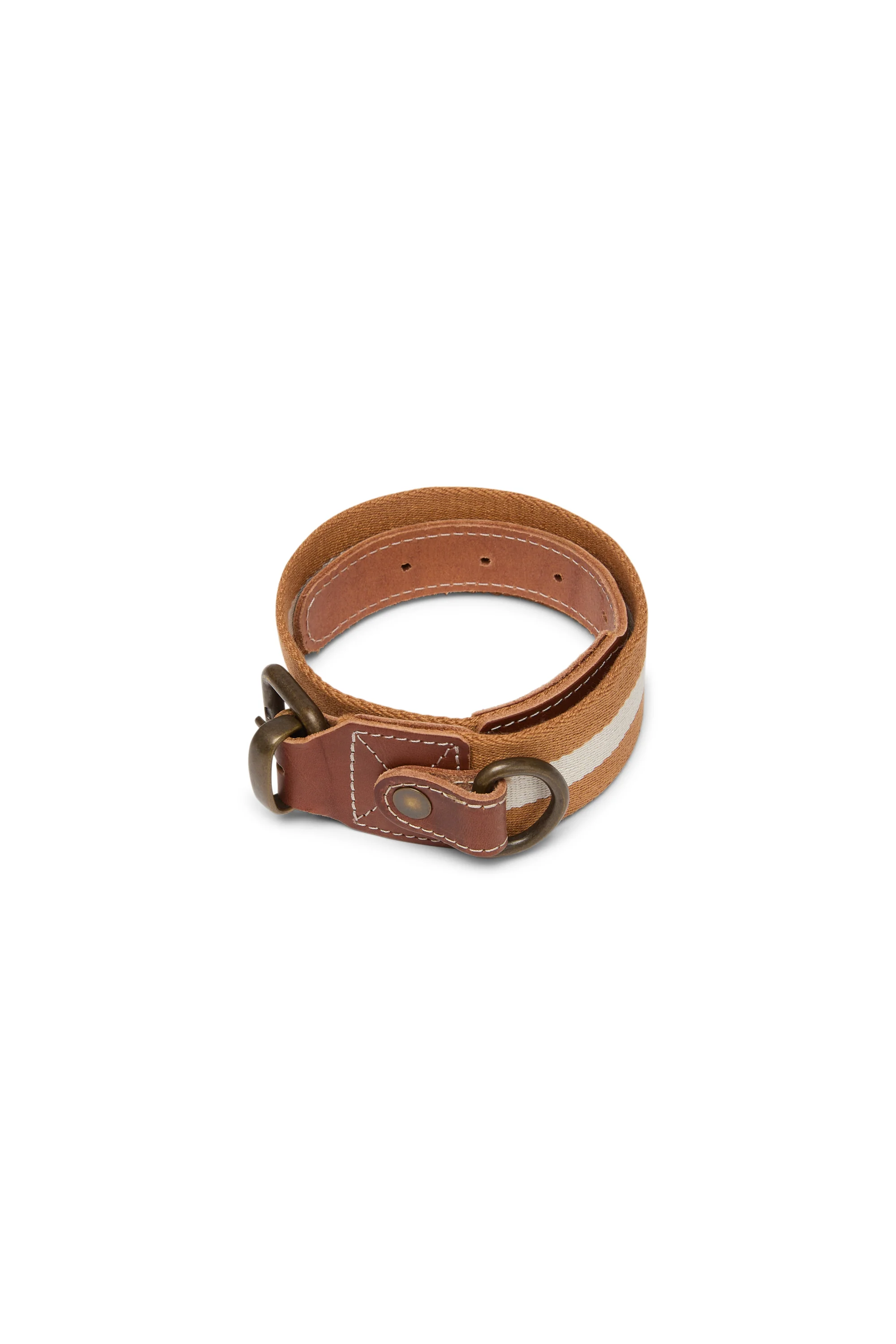 Dog Collar Mustard Medium X Lisa Corti - Image 4