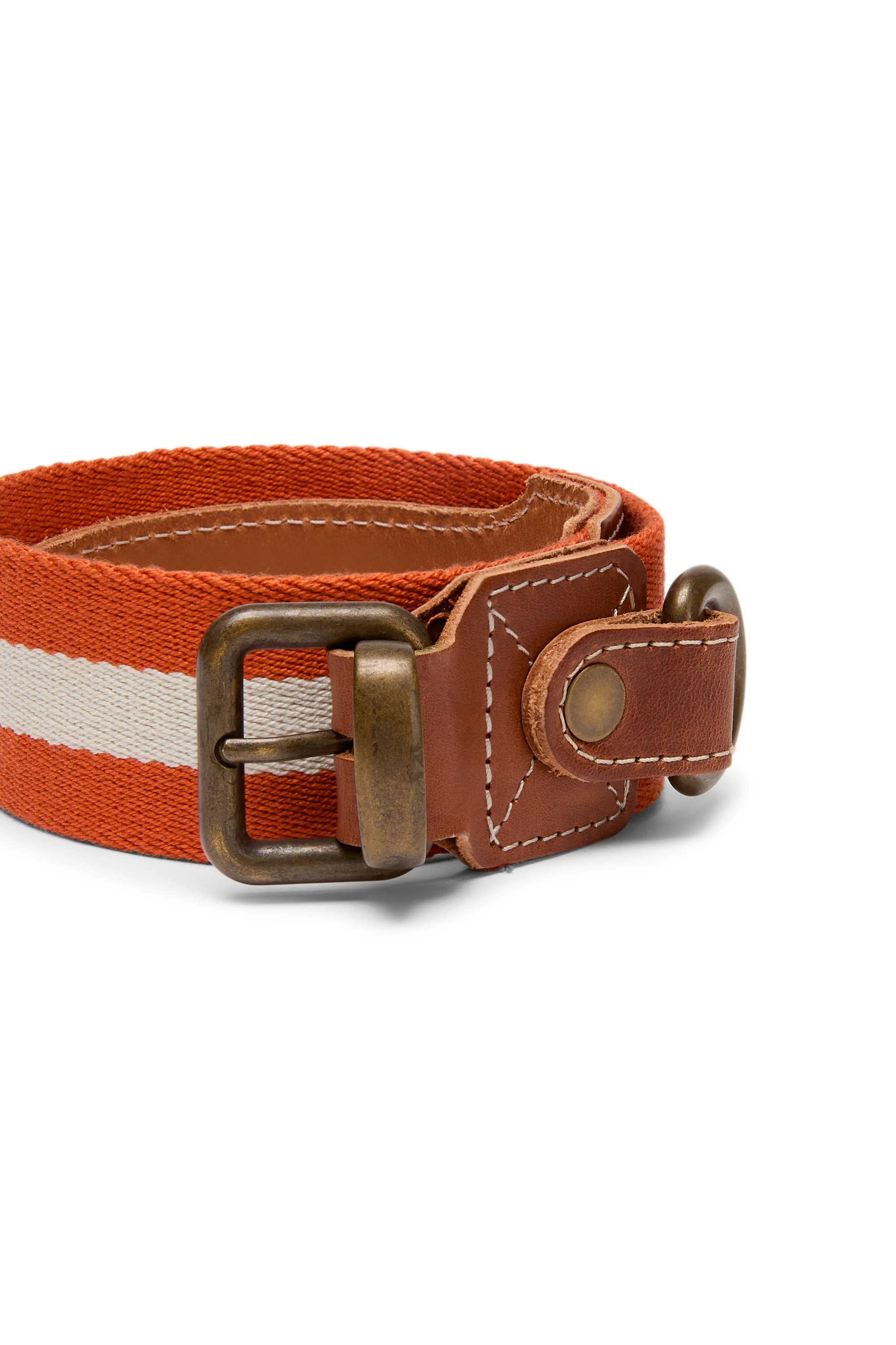 Dog Collar Rust Medium X Lisa Corti