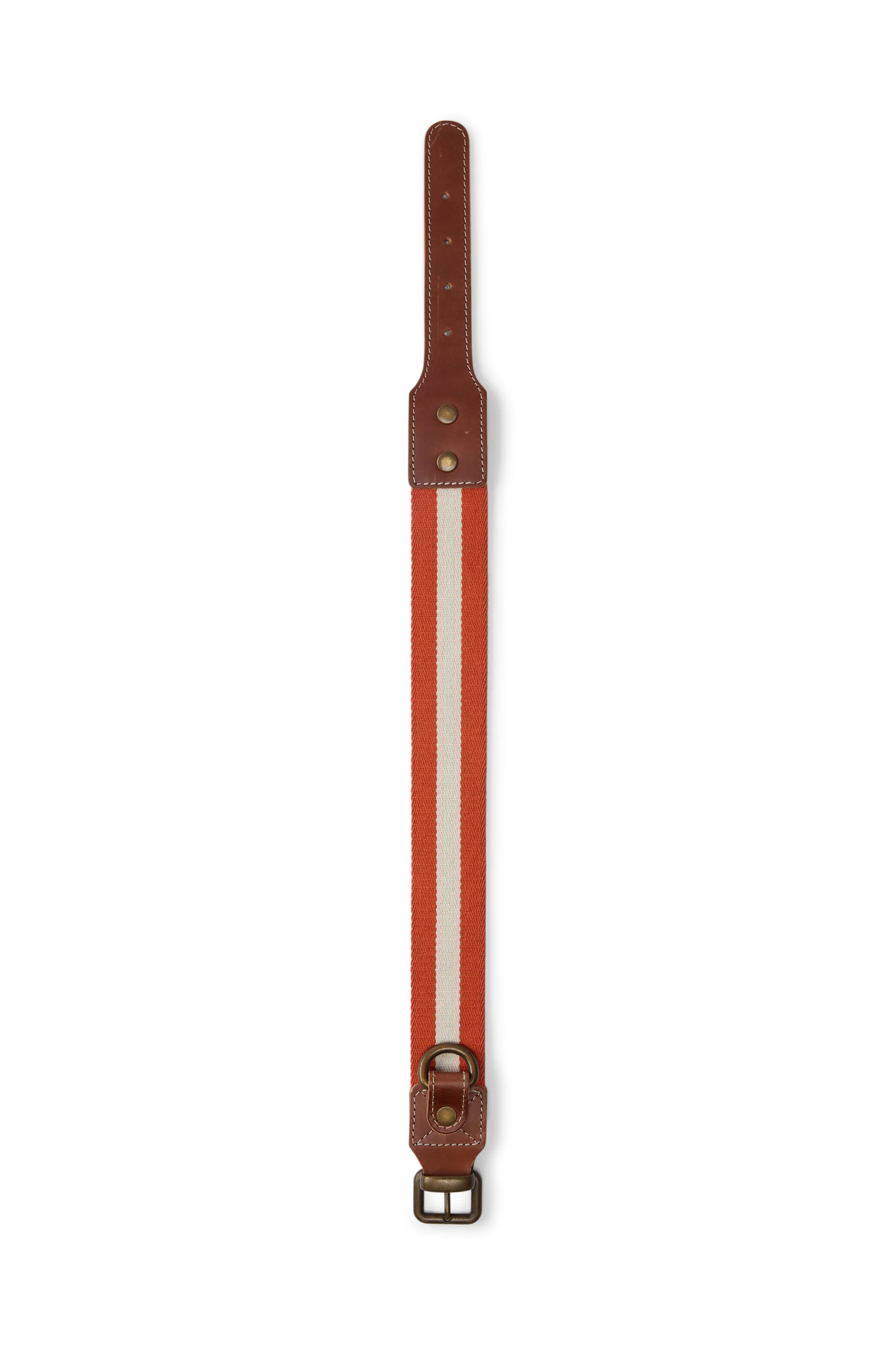 Dog Collar Rust Medium X Lisa Corti - Image 2
