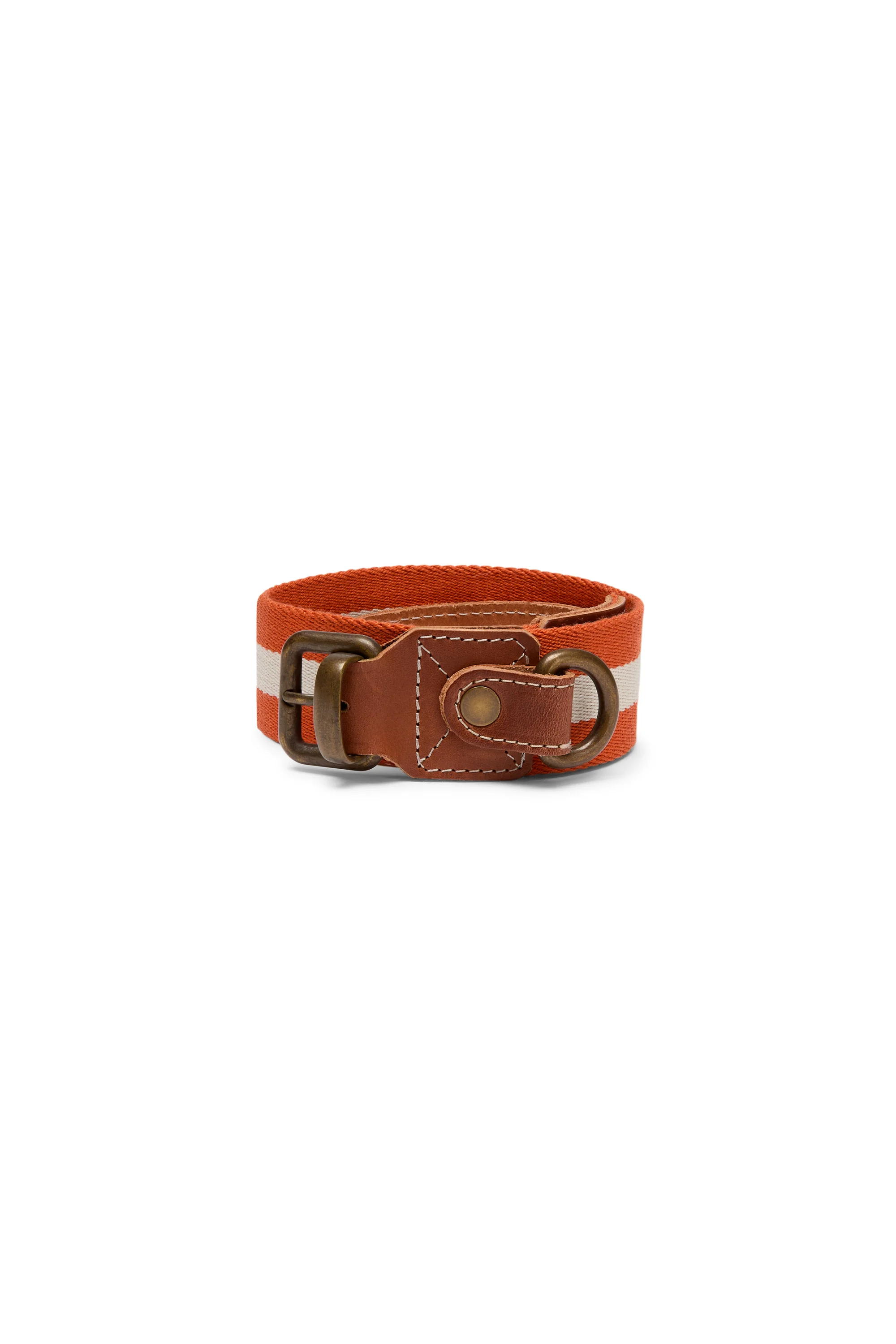 Dog Collar Rust Medium X Lisa Corti - Image 3