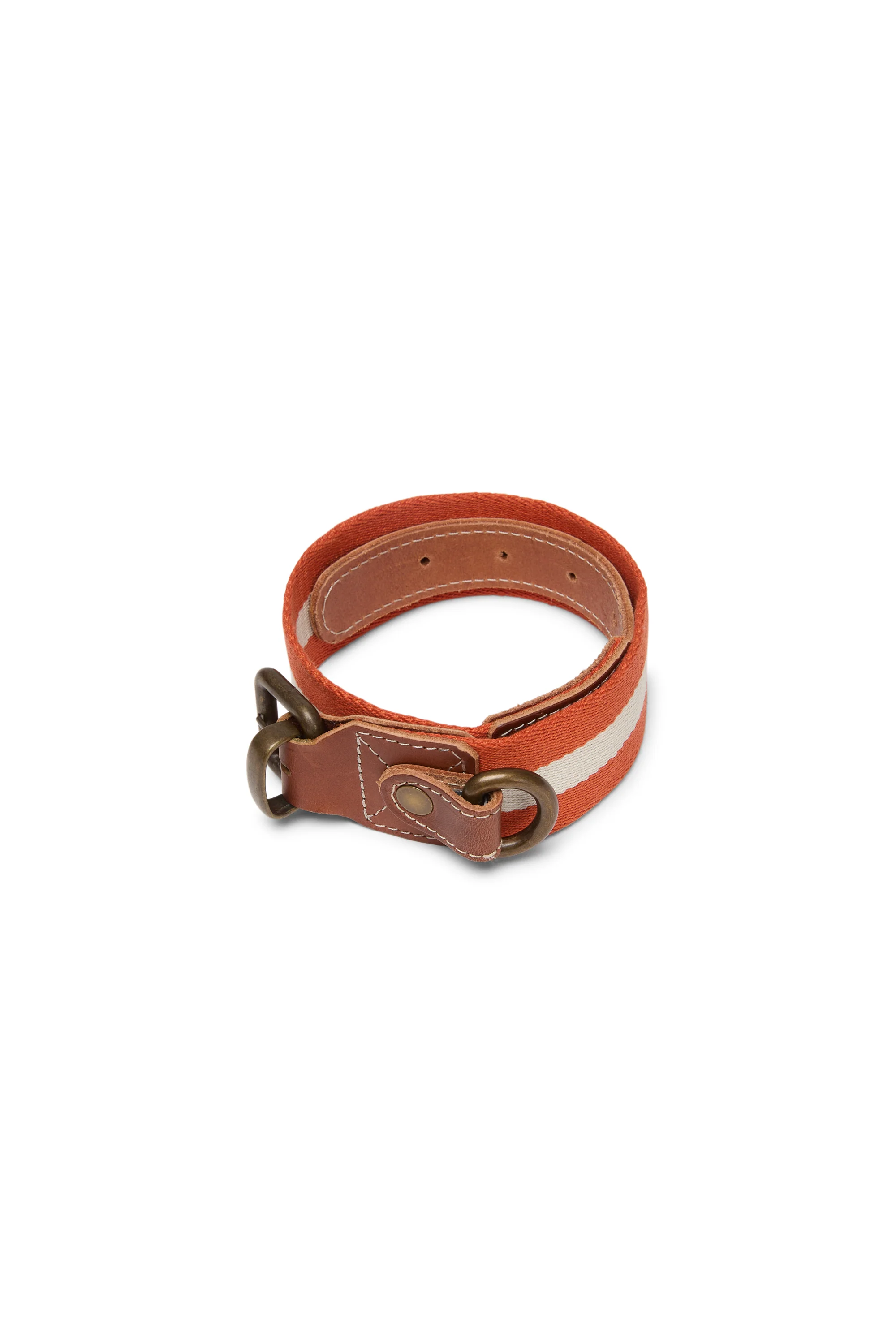 Dog Collar Rust Medium X Lisa Corti - Image 4