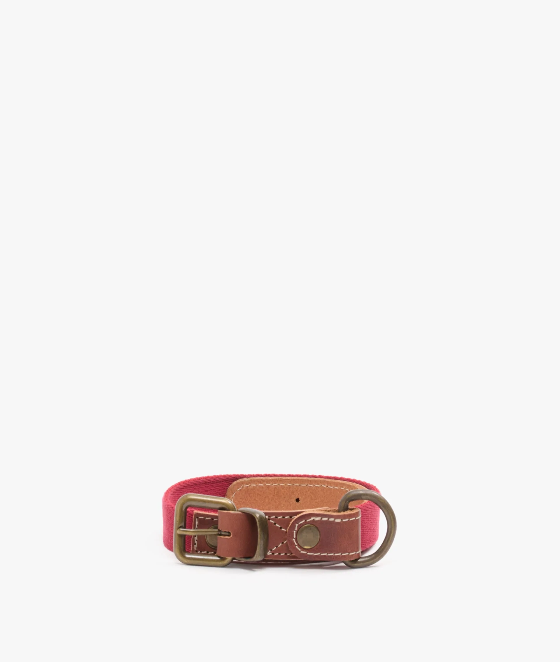 Dog Collar - Small