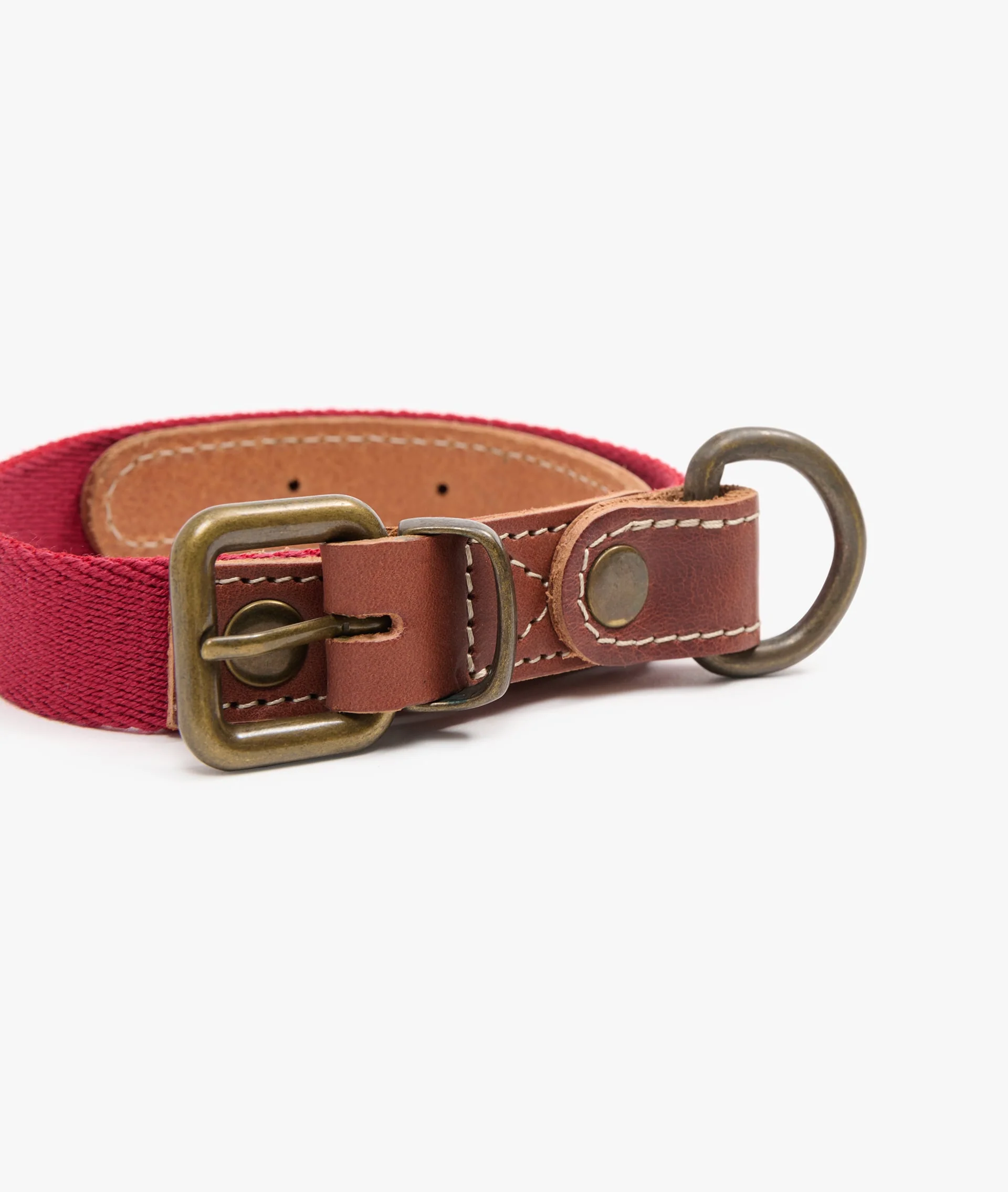 Dog Collar - Small - Image 3