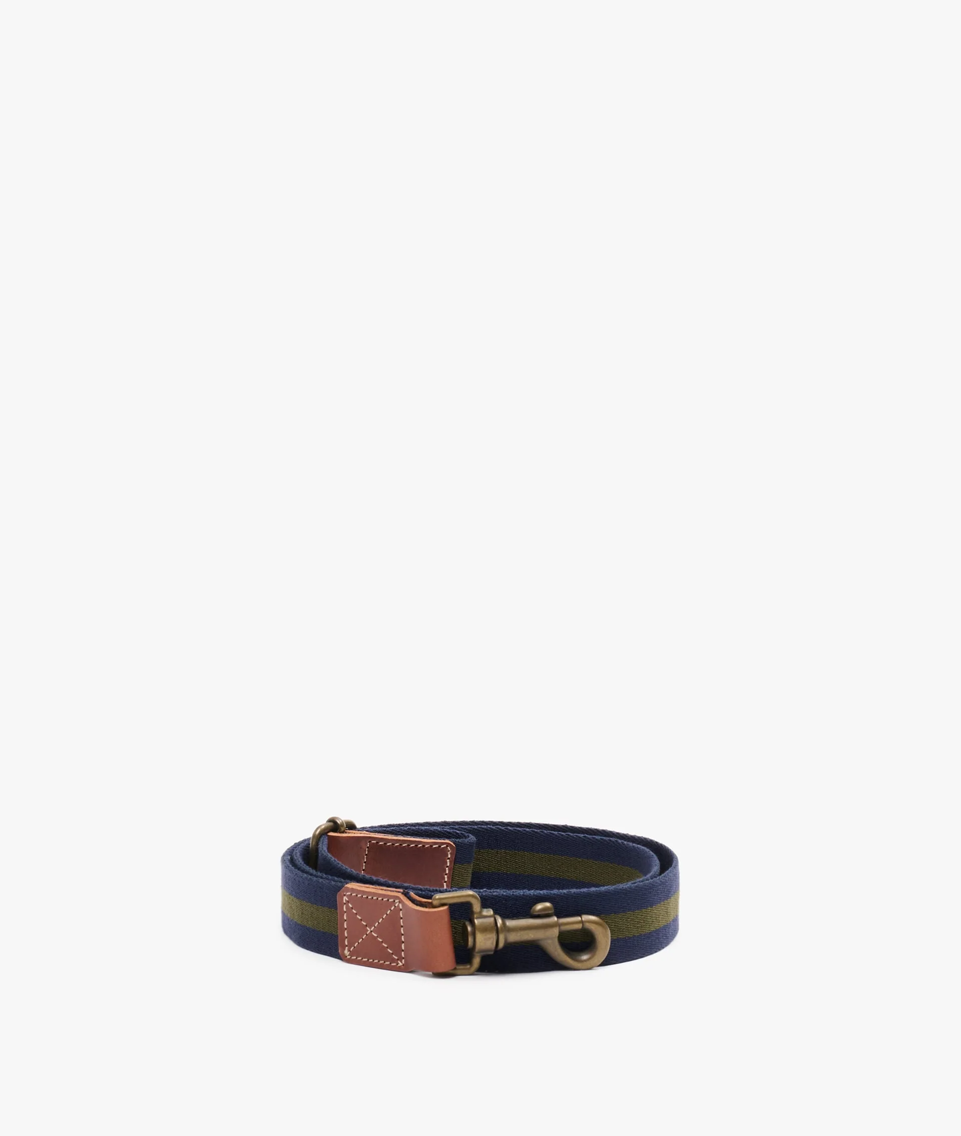 Dog Leash - Medium	