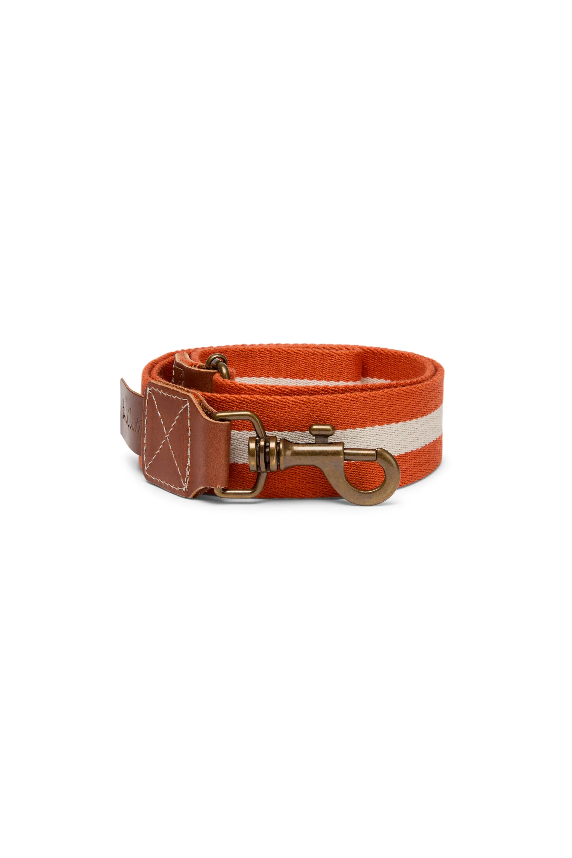 Dog Leash Rust X Lisa Corti - Image 2