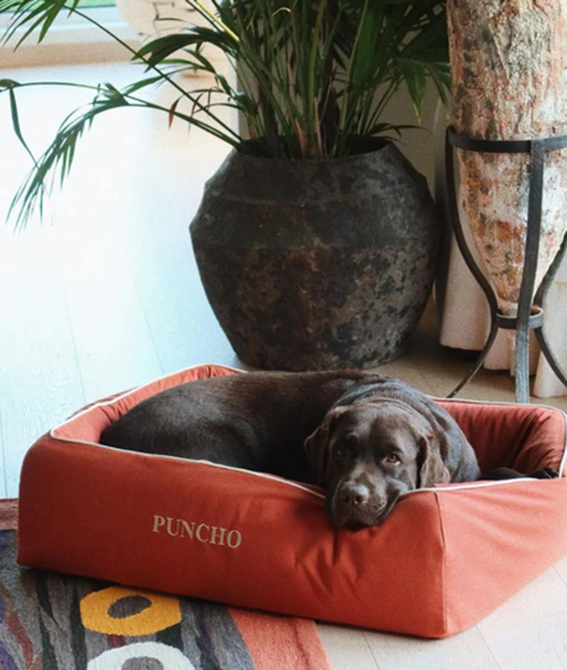 Pet Bed - Large in Dark Blue - Image 4