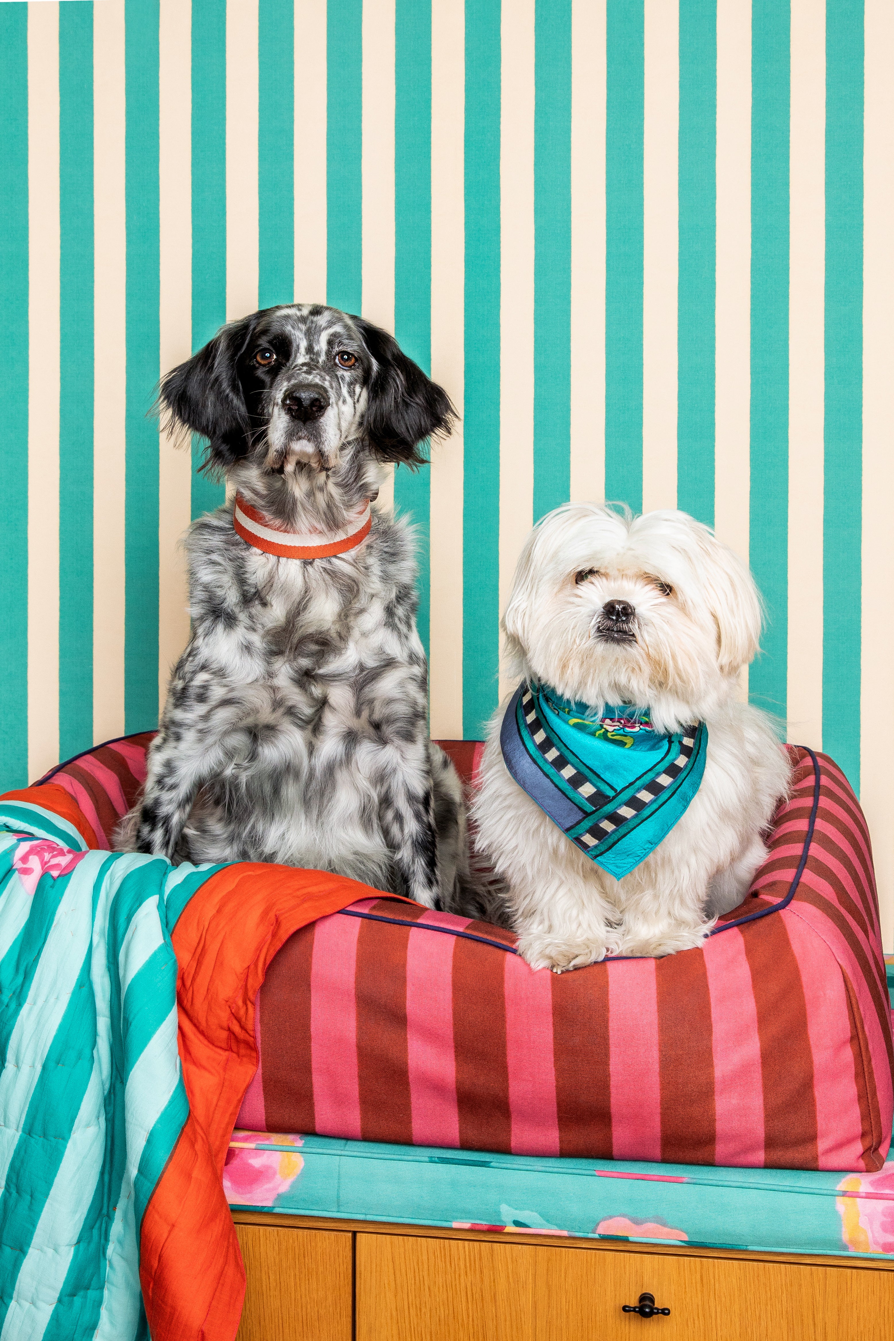 Pet Bed Large Rust X Lisa Corti - Image 4