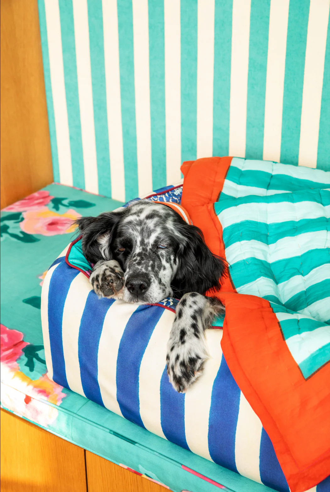Pet Bed Medium Blue X Lisa Corti - Image 4