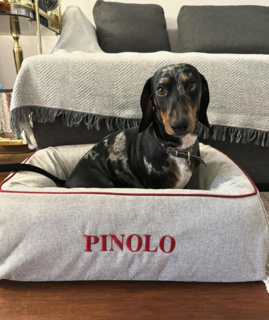 Pet Bed - Small in Dark Blue - Image 4