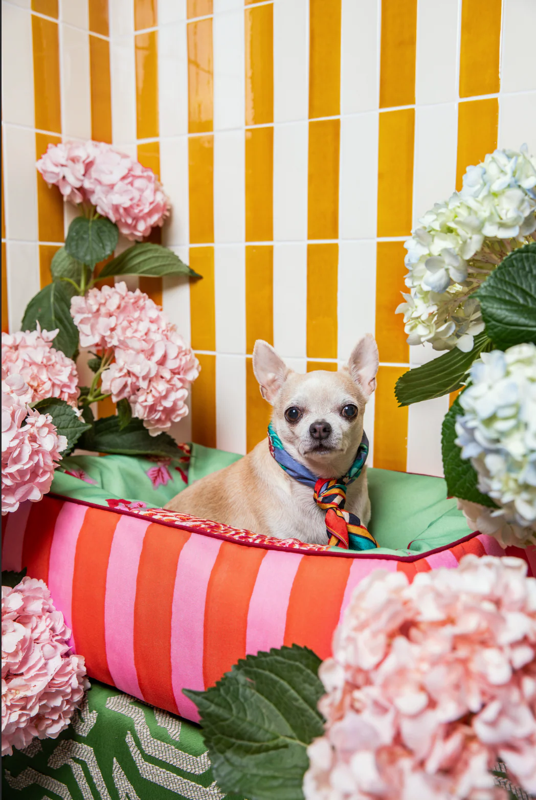 Pet Bed Small Red X Lisa Corti - Image 4