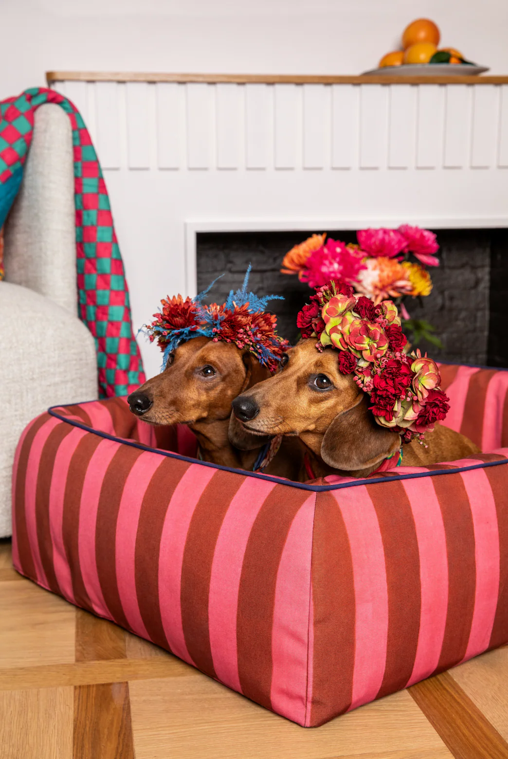 Pet Bed Small Rust X Lisa Corti - Image 4